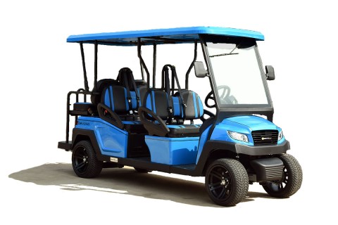 Six Person Street Legal Electric Cart